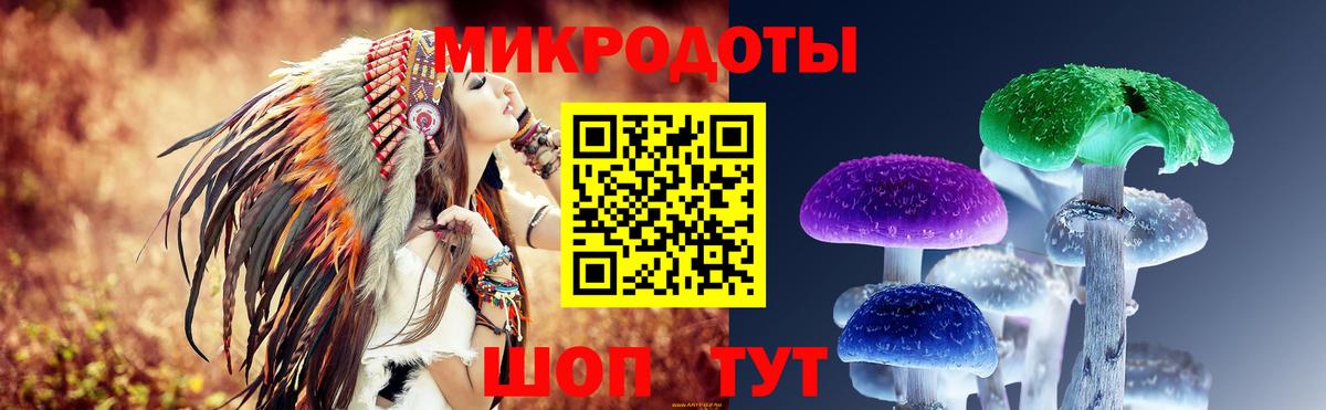 Псилоцибиновые грибы Magic Shrooms  Псилоцибиновые грибы ЛСД  Вход с VPN  Славгород 